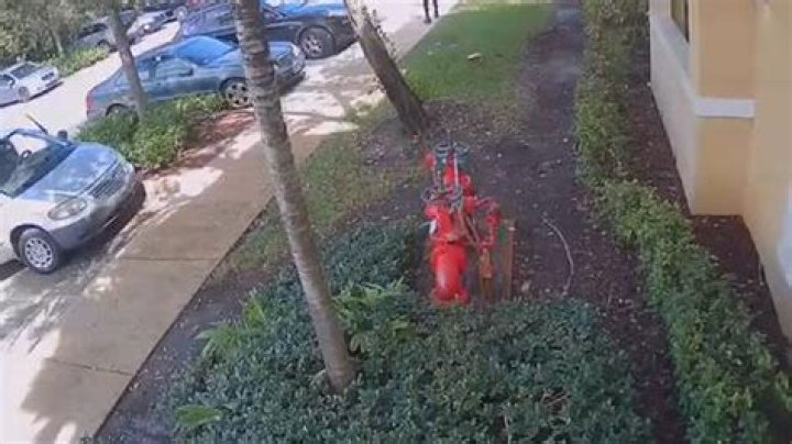 	Gunman sought in Monday’s late-night shooting in Delray Beach	