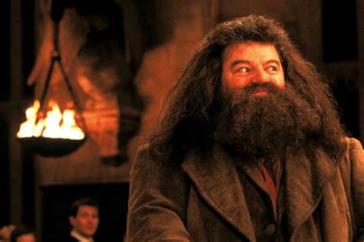 Hagrid Est Mort