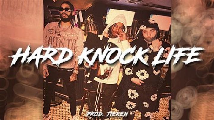 	HARD-KNOCK LIFE, VIEWED FROM INSIDE	