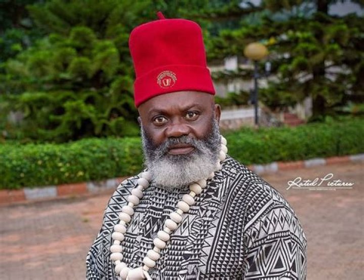 Harry B Anyanwu Biography, Age, Marriage, and Net Worth