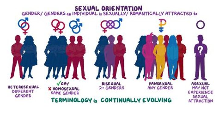 Has Nick Uhas Openly Admitted His Sexual Orientation as a Gay Man?