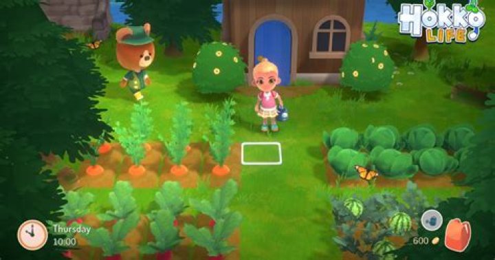 Hokko Life Has a Long Way to Go Before It Can Compete With Animal Crossing