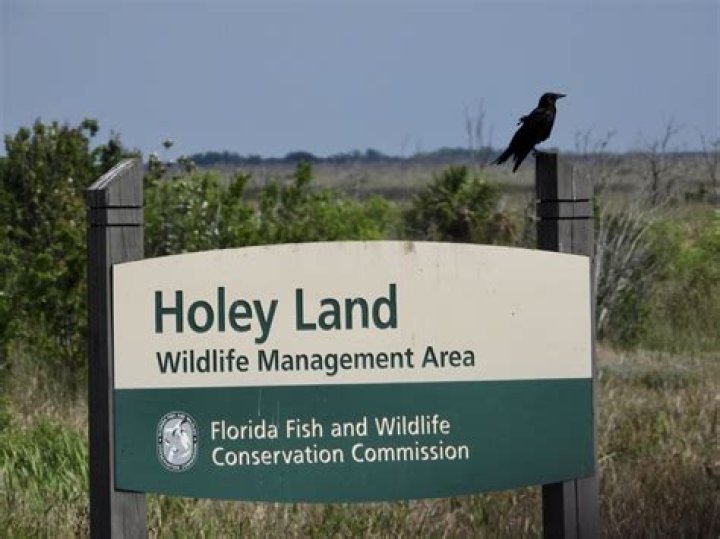 	HOLEY LAND A DUCK MECCA	