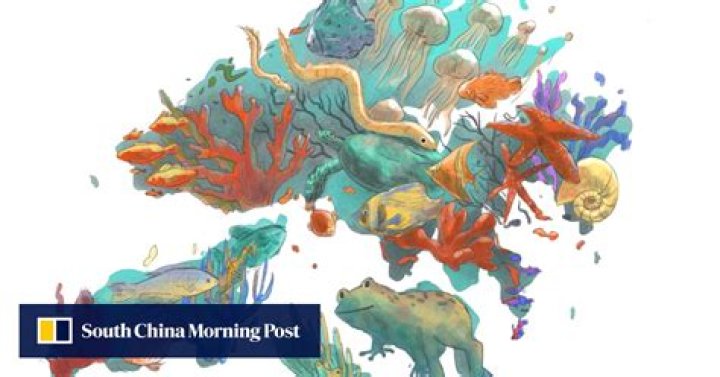 How a Hong Kong start-up is using 3D-printed tiles to restore global marine biodiversity and slow down climate clock