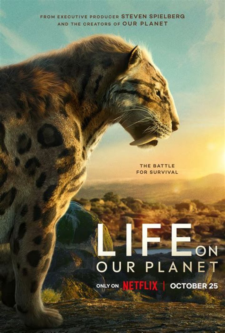 How Accurate Is Life on Our Planet? Reddit Update!