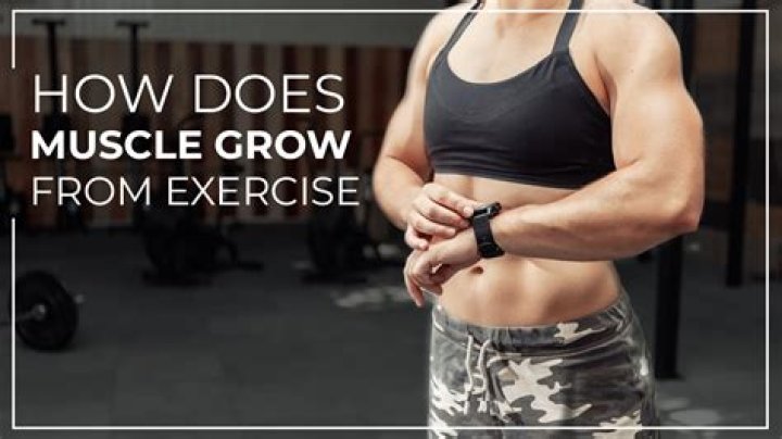 How Do Muscles Grow? | Is Muscle Damage Necessary For Growth?