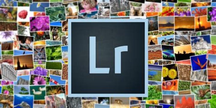 How to Back Up and Restore Adobe Lightroom Catalogs