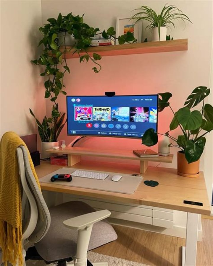How to Create a Cozy Desktop Setup