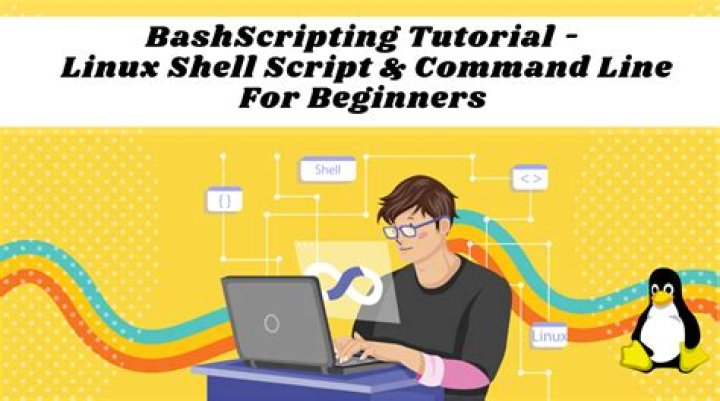 How to Create and Execute Bash Scripts in Linux