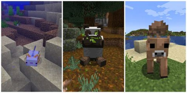 How to Engage the Rare Mob