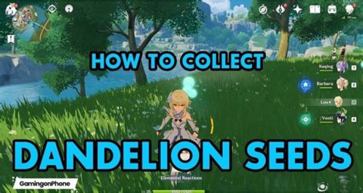 How to Find Dandelion Seeds in Genshin Impact