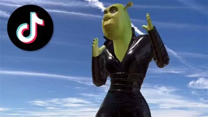 How to get Shrek In The Sky filter on TikTok