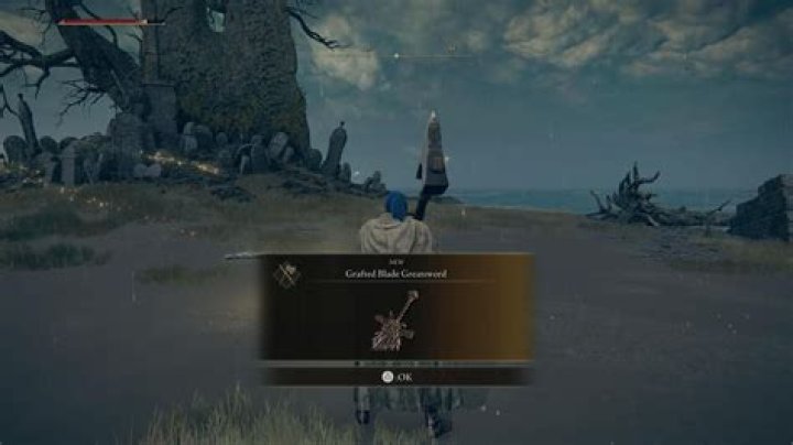 How to get the Sword of Morne in Elden Ring