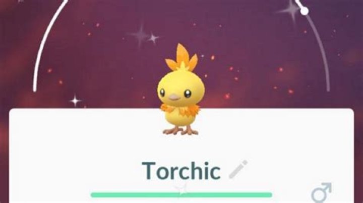 How to Get Torchic in Pokemon GO