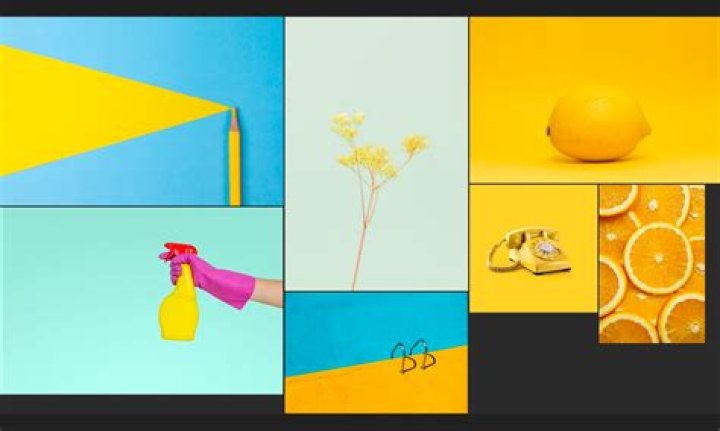 How to Keep Your PureRef Mood Board Organized: 6 Tips