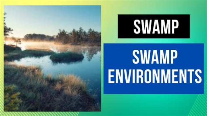 How to make a swamp a unique environment?