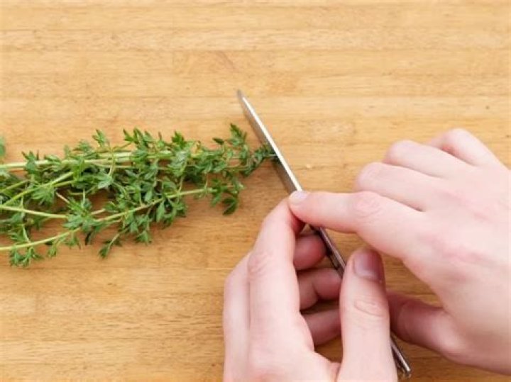 	How to make picking fresh thyme leaves an easy task	