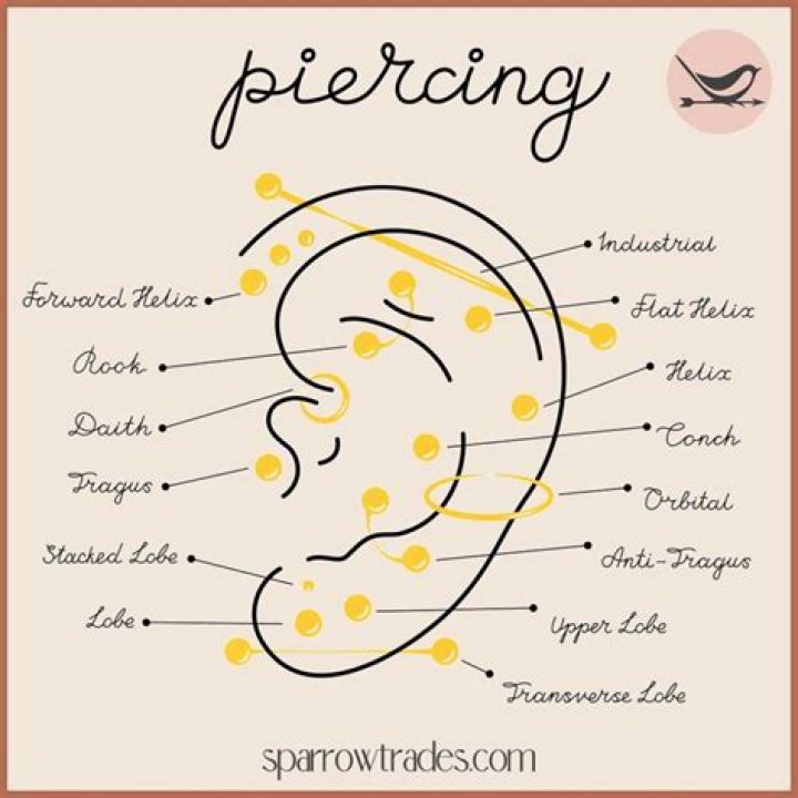 How to Obtain the Earring