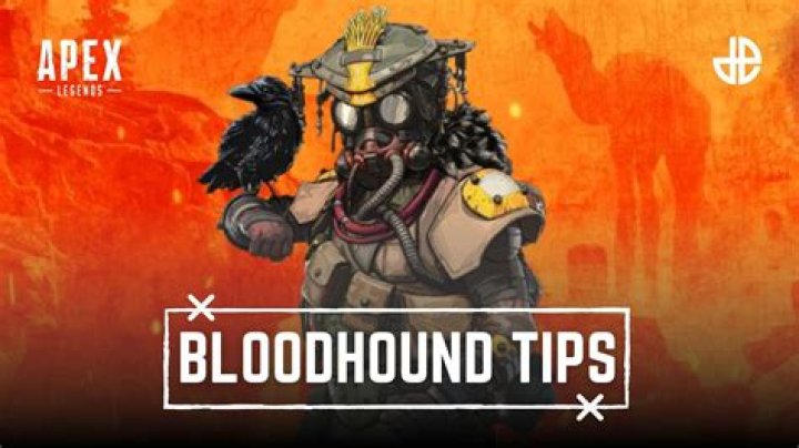 How to play Bloodhound in Apex Legends: Abilities, tips, more