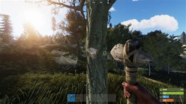 How to play Rust – Where to buy, gameplay, streamers to watch