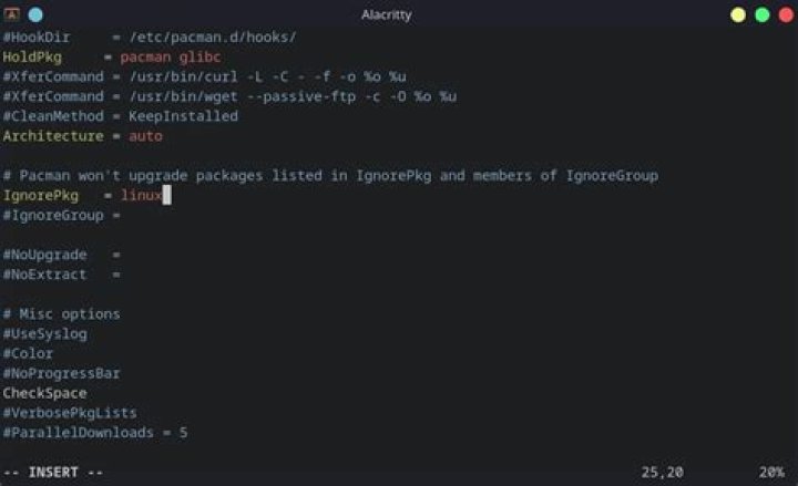 How to Prevent Packages From Getting Updated in Arch Linux