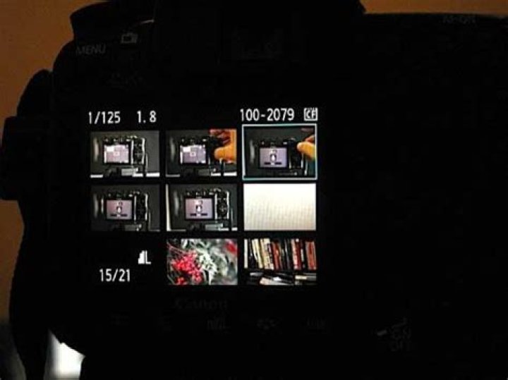 How To Properly Use The Image Playback Feature On Your Digital Camera