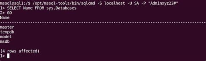 How to Set Up a Microsoft SQL Server Database in Docker on Linux