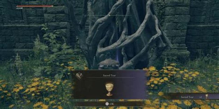 How to Upgrade the Flask in Elden Ring