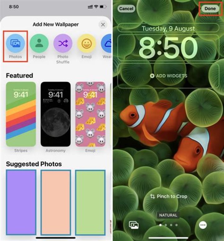 How to use a TikTok as your iPhone wallpaper