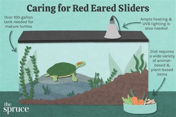 How to Use Sliders & What They Do
