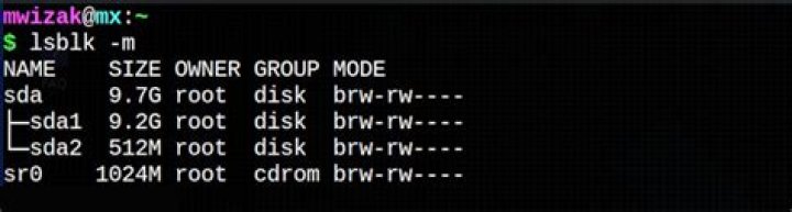 How to Use the lsblk Command to List Block Devices on Linux
