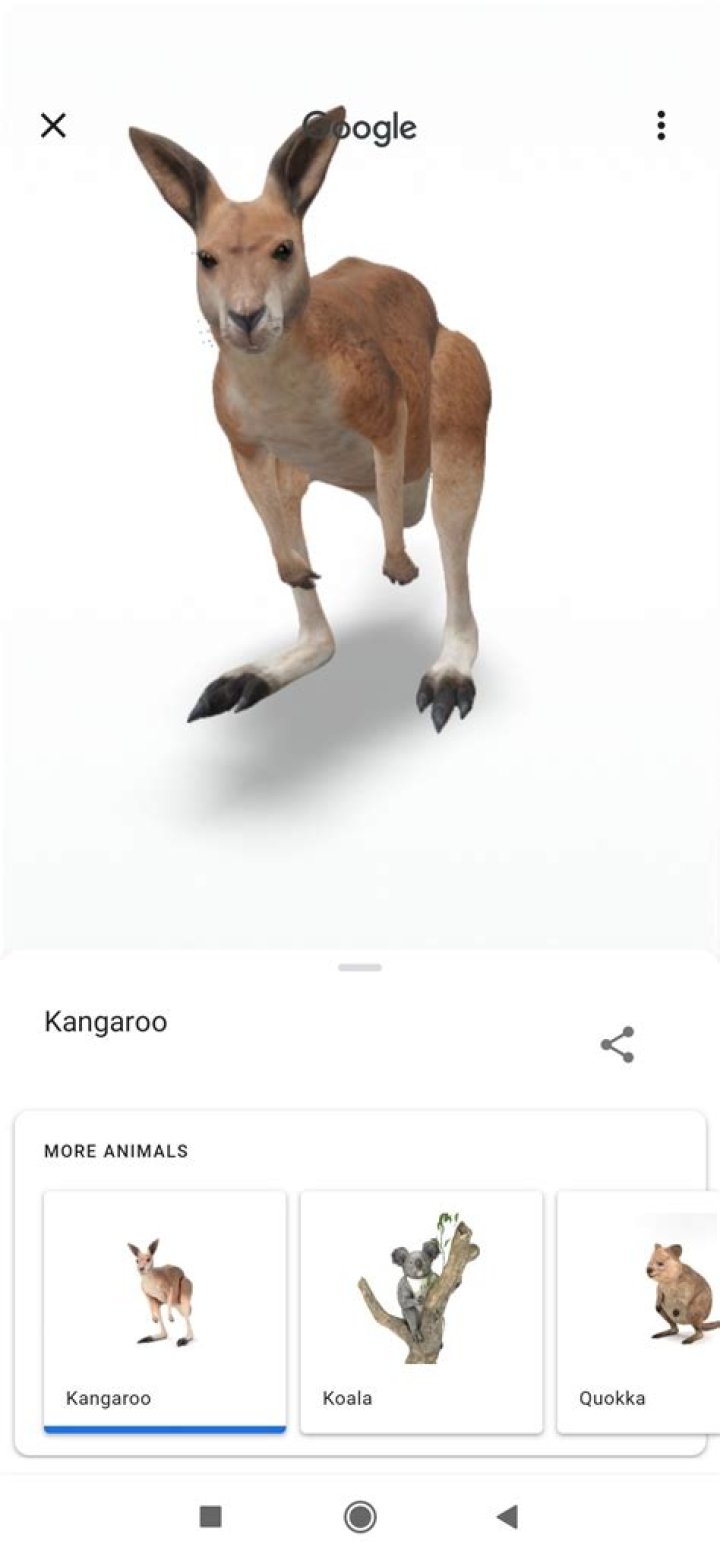 How to View Google's 3D Animals and Go on a Virtual Safari