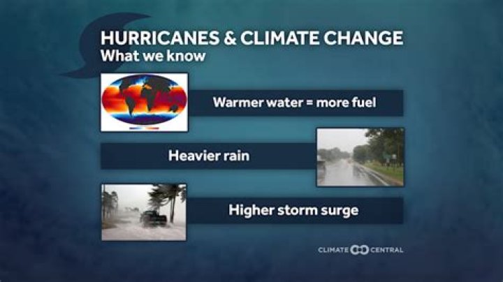 	How wetter storms drive mold-related health issues as Hurricane Ian’s anniversary approaches	