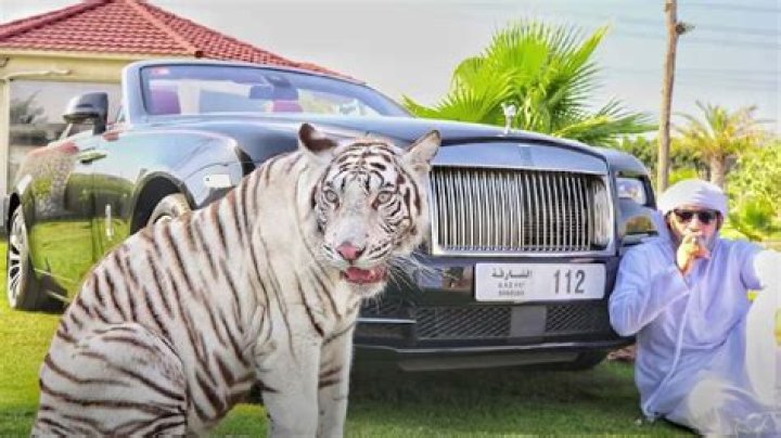 Humaid Albuqaish Car Collection 2023 And Net Worth - 21Motoring