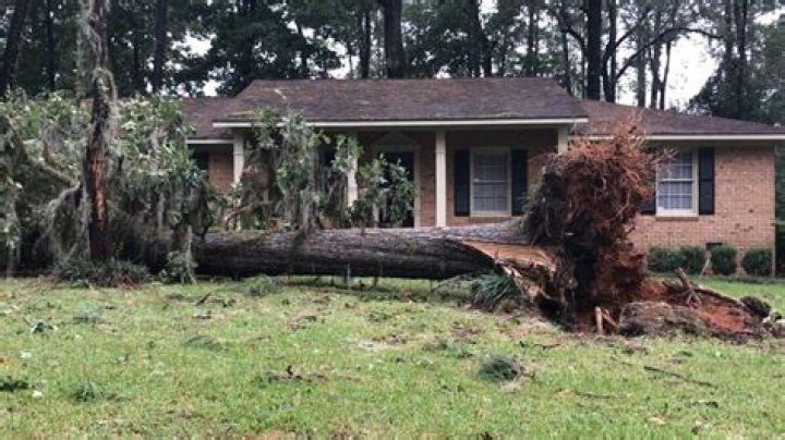 Hurricane Irma leaves 1 million Georgia residents without electricity
