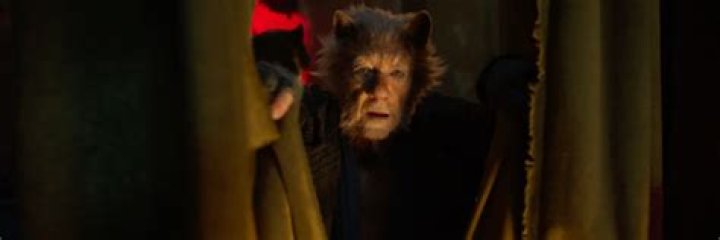 Ian McKellen Justifies the 'Cats' Musical CGI with Most Confusing Reason Possible