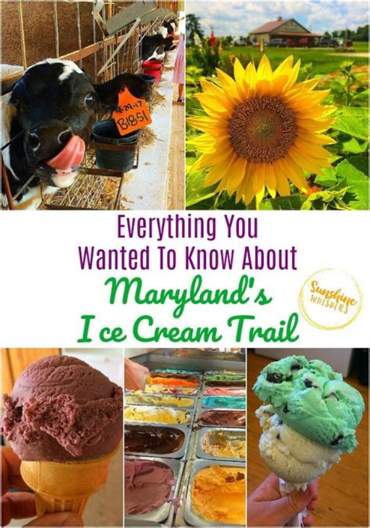 	Ice Cream Trail helps boost agricultural tourism in Maryland	