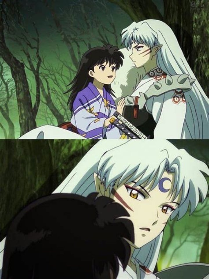 Inuyasha: Why did Sesshomaru keep Rin?