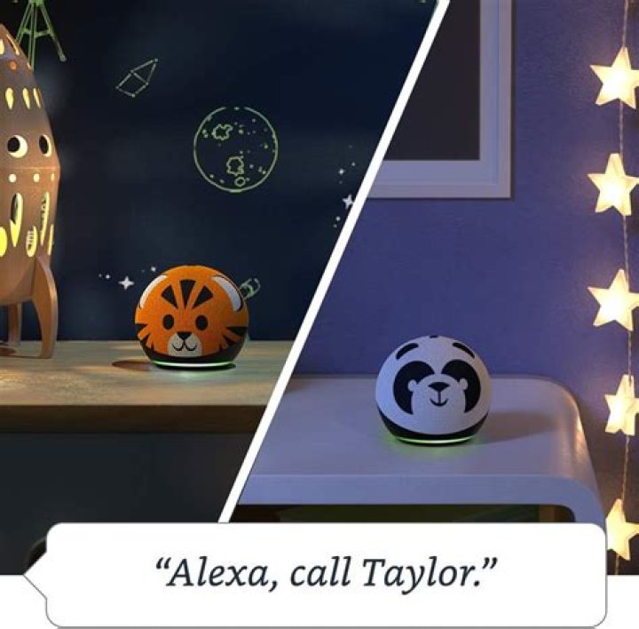 Is the Echo Dot Kids Edition Worth It?
