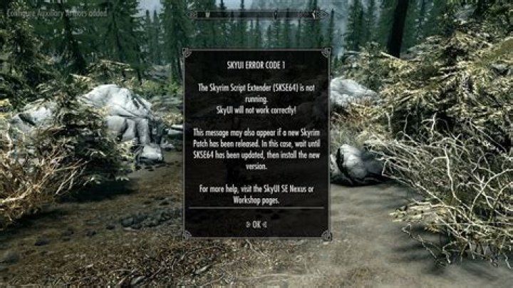 Is the Skyrim Script Extender Not Working on Windows? How to Fix It