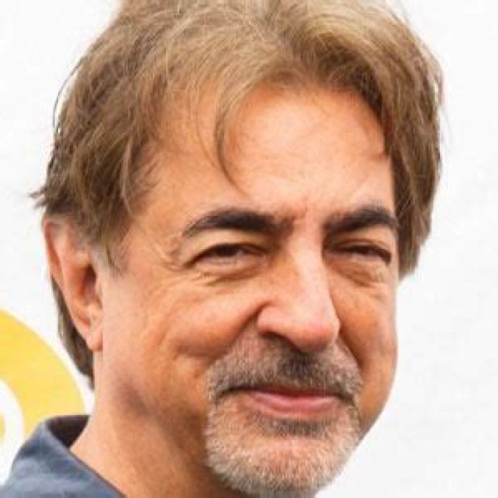 Joe Mantegna Biography