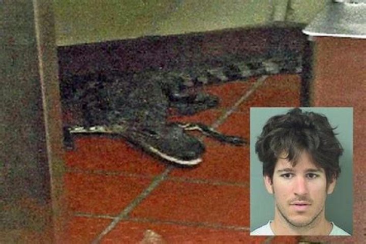 	Judge convicts, punishes man who threw gator into Wendy’s	