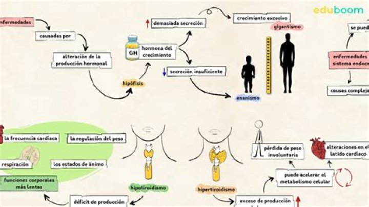 La importancia de tu sistema endocrino y cómo le perjudica la contaminación