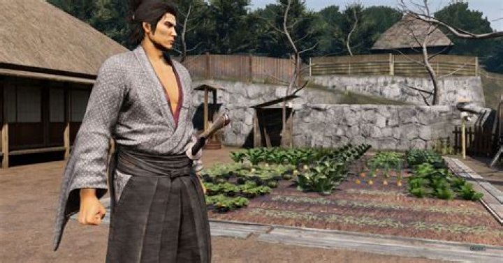 Like a Dragon: Ishin! Another Life: How to farm, cook, and adopt pets