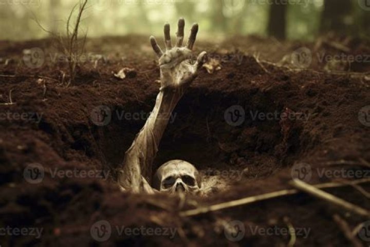 Limbs found sticking out of graves | Free News