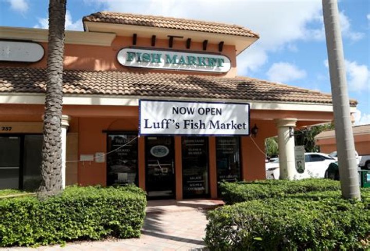 	Luff’s Fish Market in Boca Raton | PHOTOS	