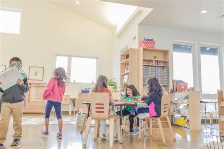 Magnolia Montessori for All - Austin