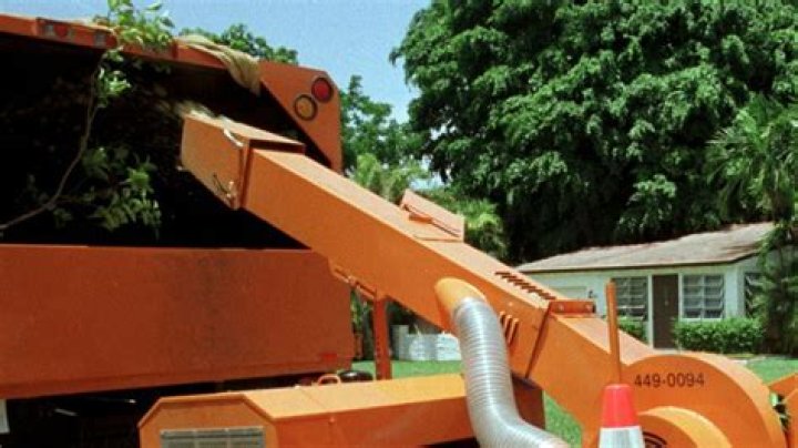 Man dies after falling into wood chipper