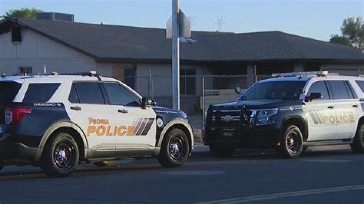 Man dies after Peoria bee attack, police say