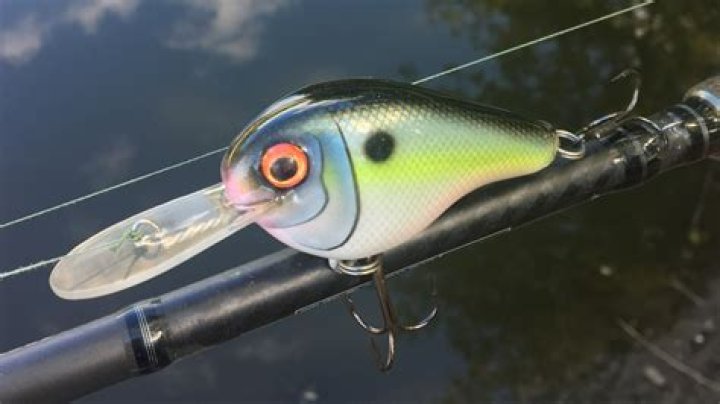 Marling Baits Net Worth – Phone Number, House Address, Wiki